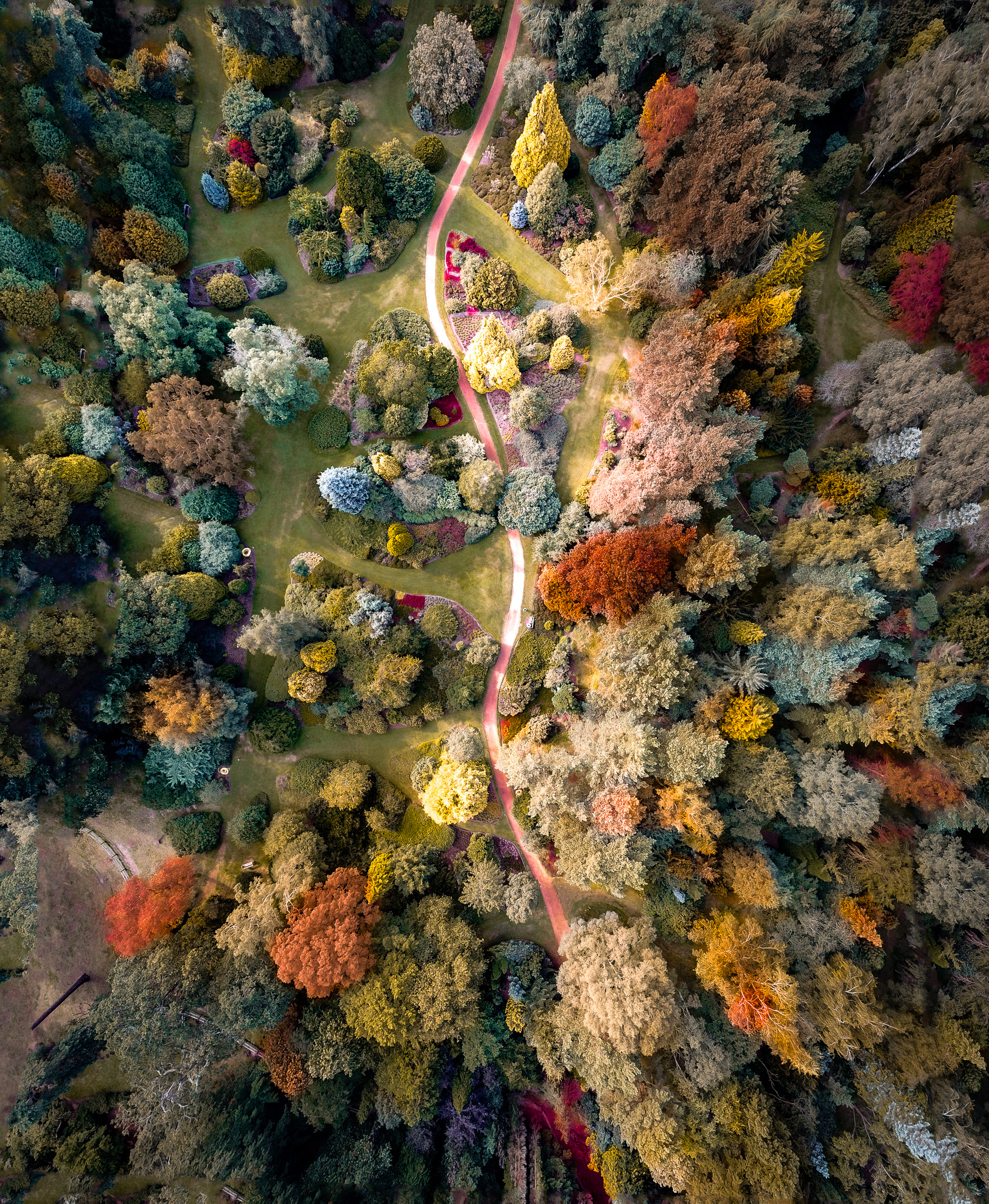Aerial autumn gardens
